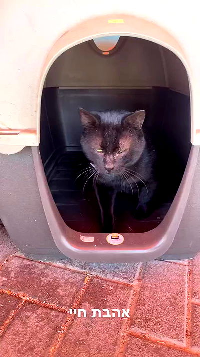 mishel116 mishel116 archive video