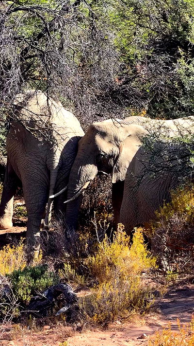 taylor.creeden taylor.creeden archive video