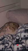sonia_litvanchuk Altpins Profile Picture