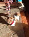 katehudson Altpins Profile Picture