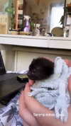evasela__ Altpins Profile Picture