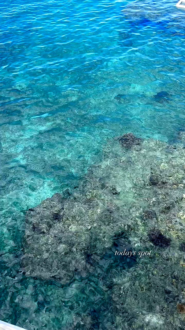 sophadophaa_ archive video preview