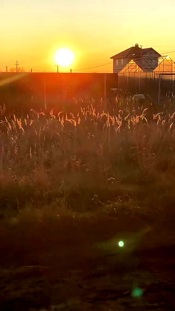 nyityam archive video preview