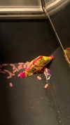 gisellelee8 Altpins Profile Picture