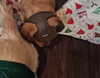 muze Altpins Profile Picture