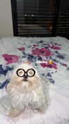 yuli.barell Altpins Profile Picture