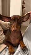maya.keyy Altpins Profile Picture