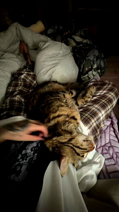 strawberryshanz strawberryshanz archive video