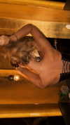 pia__kim Altpins Profile Picture