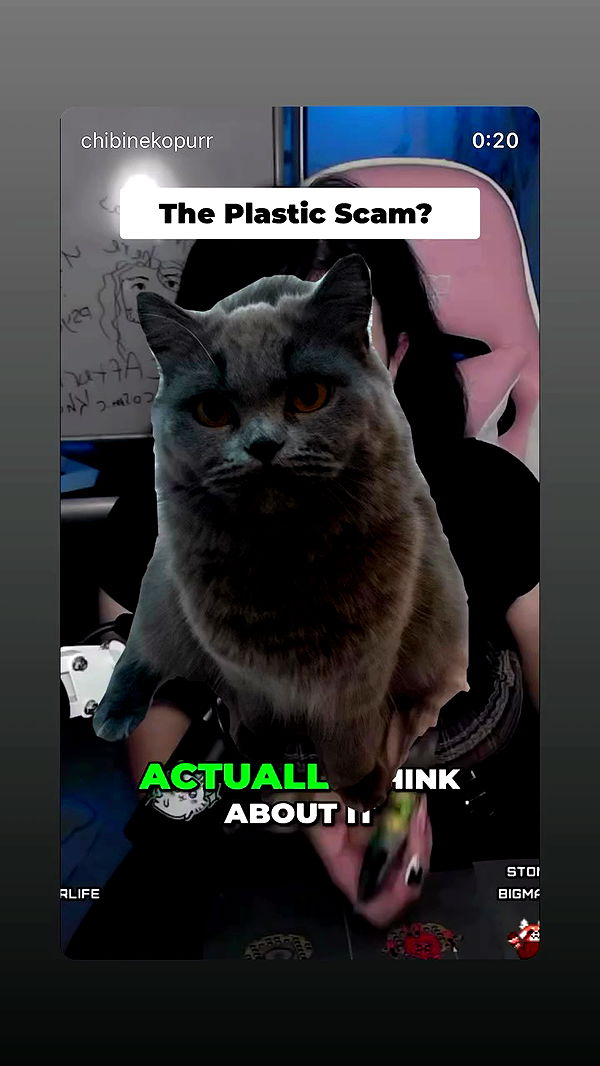 chibinekopurr archive video preview