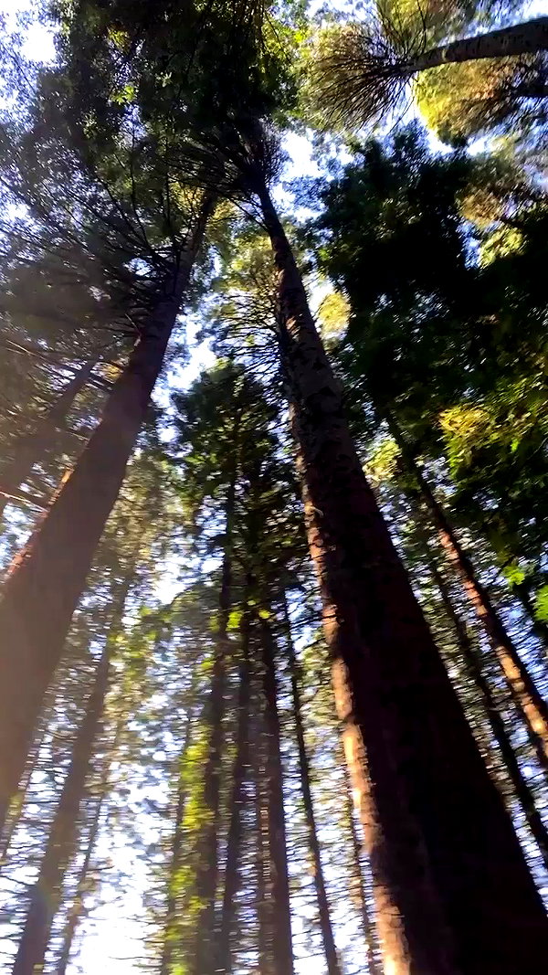 taylor.creeden archive video preview