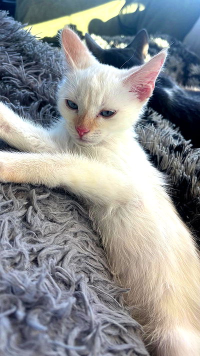 tatum.ricee tatum.ricee archive video