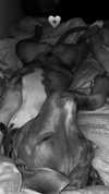 _dasha.dolina__ Altpins Profile Picture