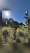 shunli__mei Altpins Profile Picture
