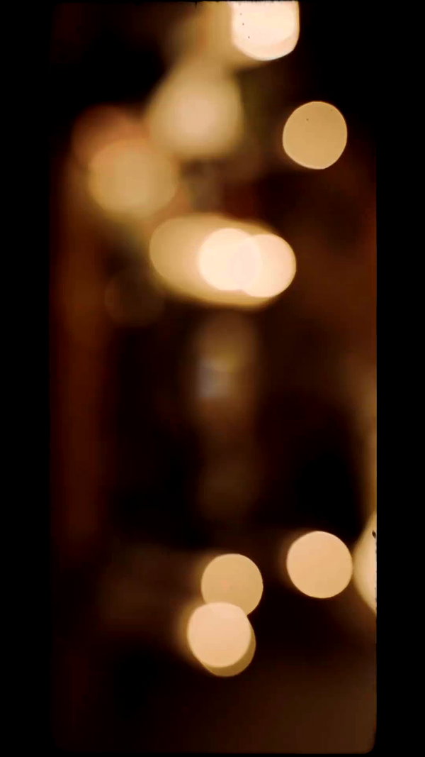 tomer.maliach archive video preview