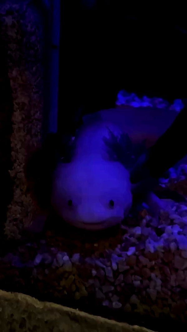 feelbetterinmysweater archive video preview