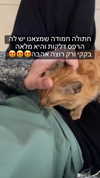ronyida_ Altpins Profile Picture
