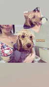 jade699x3 Altpins Profile Picture