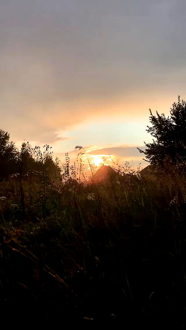 nyityam archive video preview