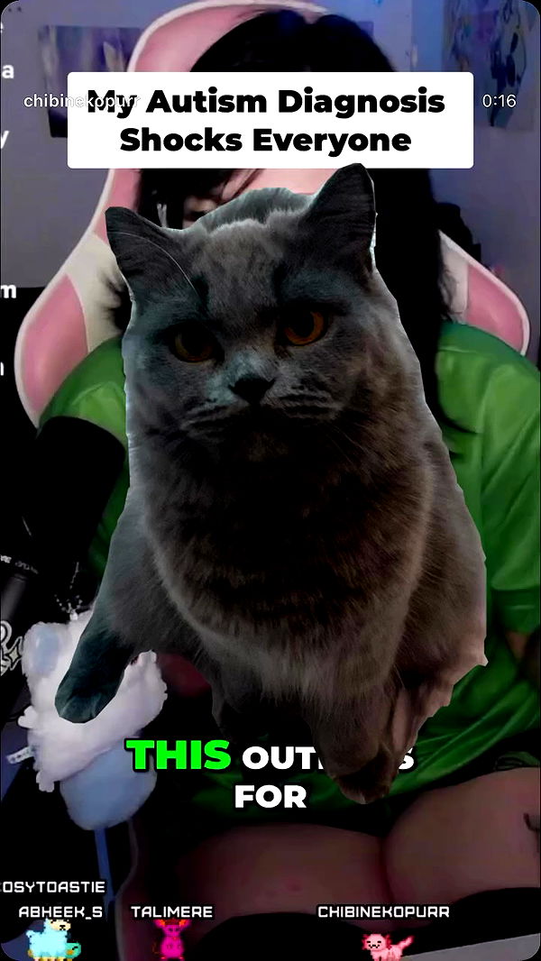 chibinekopurr archive video preview