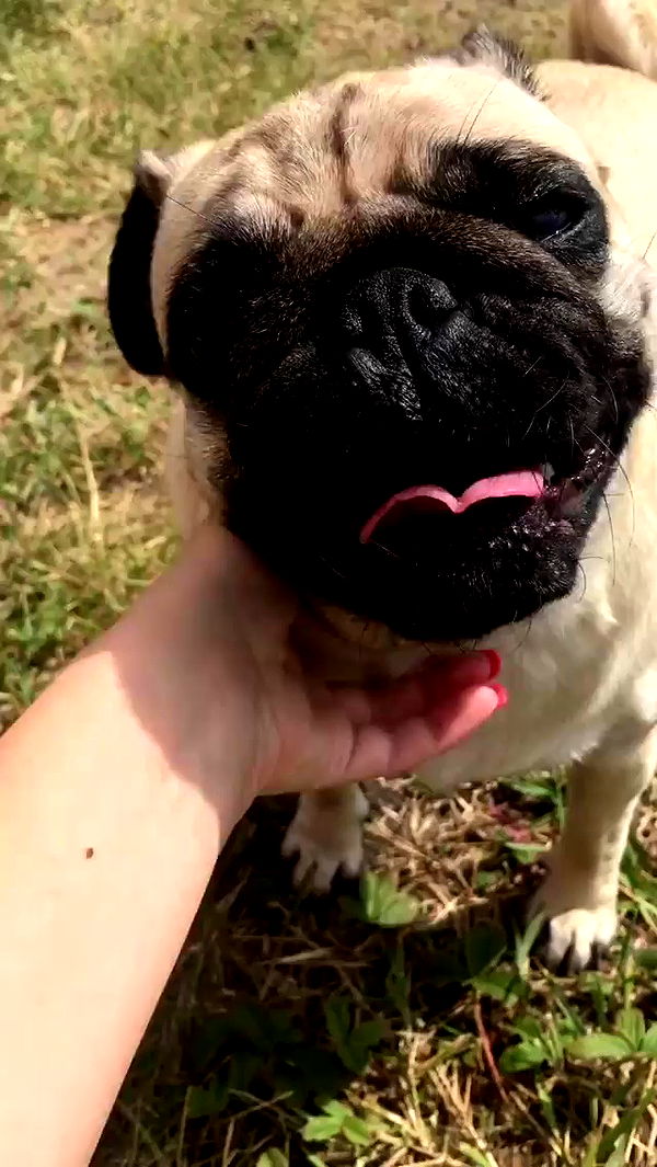 nyityam archive video preview