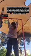 shayli_or Altpins Profile Picture