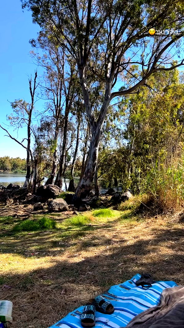 _.shelichka._ archive video preview