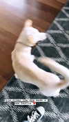 gabbyepstein Altpins Profile Picture