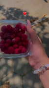 ilana.21 Altpins Profile Picture