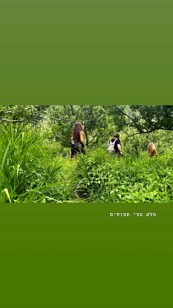 talya.fridland archive video preview