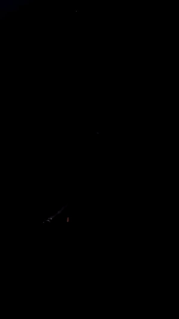 gaya__twizer archive video preview