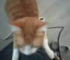 itsnokiiia Altpins Profile Picture