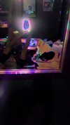 haileylayfield Altpins Profile Picture