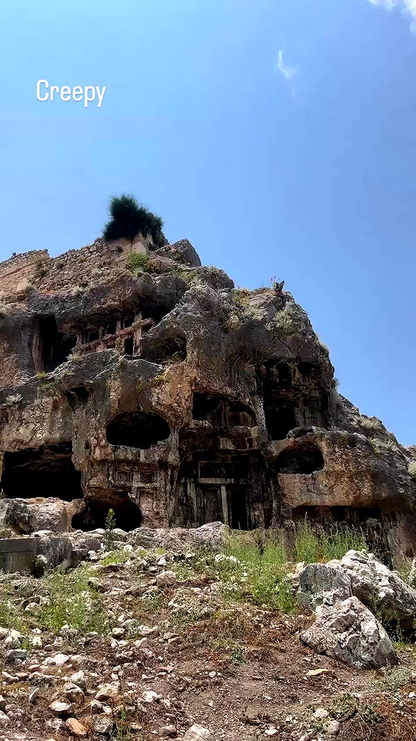 swfx_real archive video preview