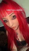 antijuls Altpins Profile Picture