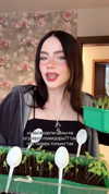 howeversnowy Altpins Profile Picture