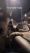 yaarat11 Altpins Profile Picture