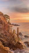 tirtza_cohen Altpins Profile Picture