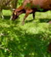 _mashachka_ Altpins Profile Picture