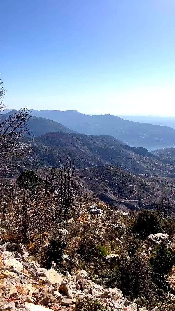 swfx_real archive video preview