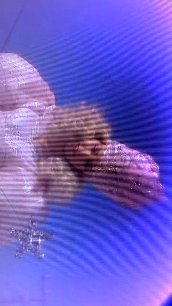 miumiustargirl archive video preview