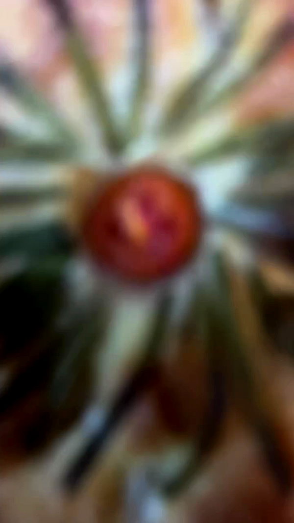 _wizardmidget_ archive video preview