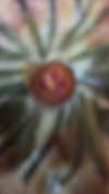 _wizardmidget_ Altpins Profile Picture
