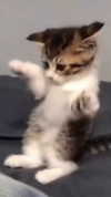 babynympho_archive Altpins Profile Picture