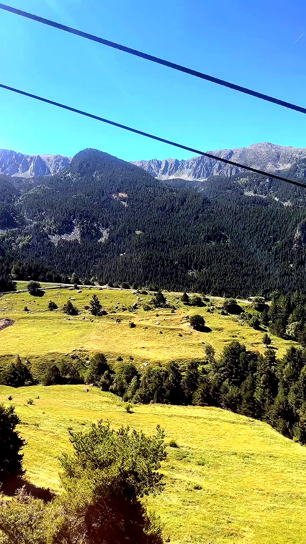 swfx_real archive video preview