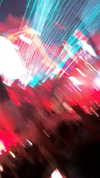 michal_cohen017 Altpins Profile Picture