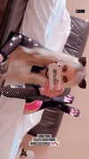 roxiechelon2 Altpins Profile Picture
