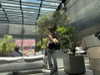 pol_cherie Altpins Profile Picture