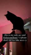 elliemvvnn Altpins Profile Picture