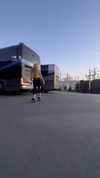 avrillavigne Altpins Profile Picture
